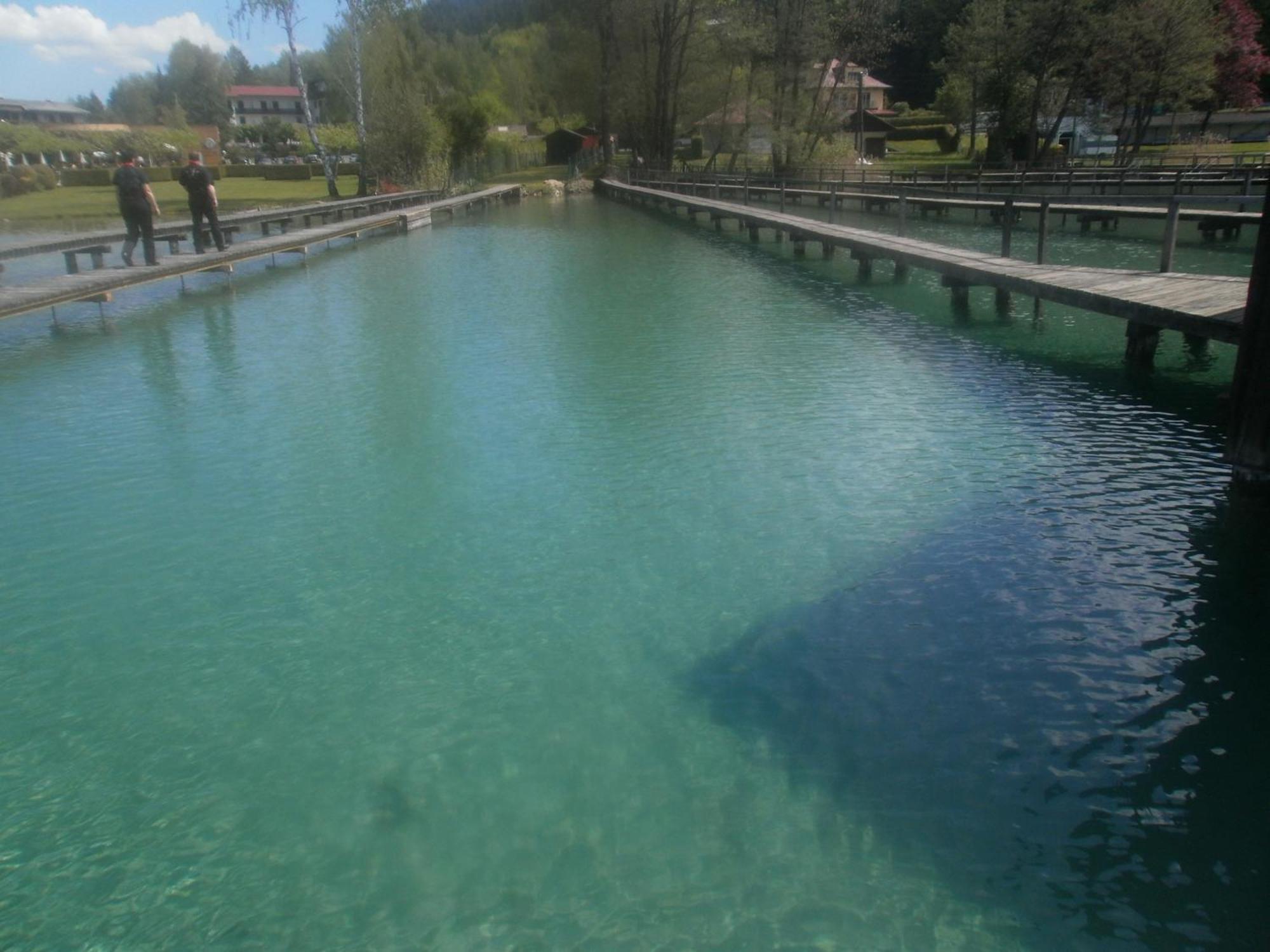 Ferienpension Garni Hubert Rigelnik Sankt Kanzian am Klopeiner See Exterior photo